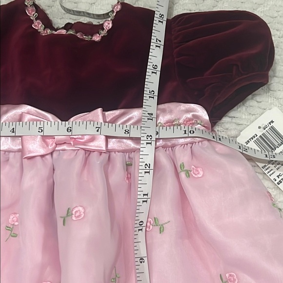 Vintage Dress Baby Toddler  Pink Maroon Roses Velvet Tulle Girl Formal Easter - Picture 8 of 11